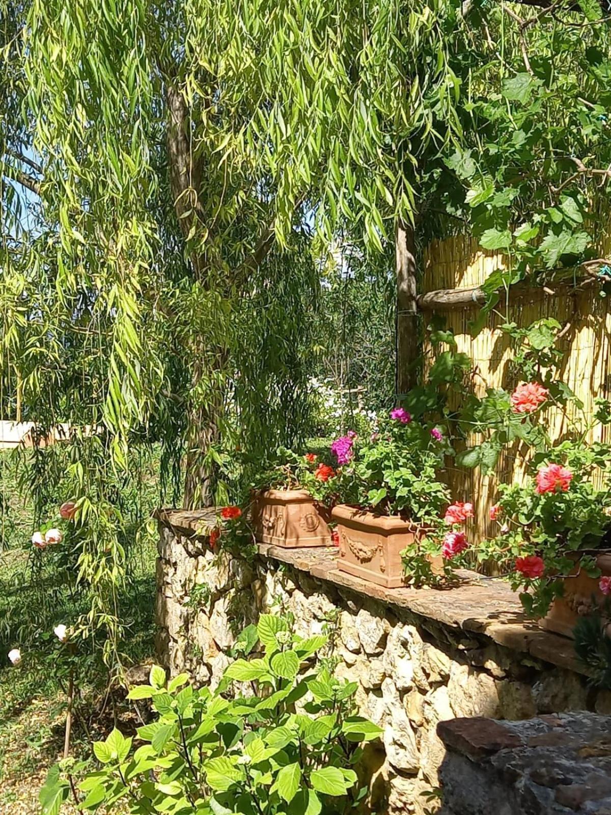 La Bellana Apartment Guardistallo Exterior photo